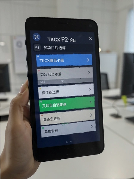 TKCX P2-Kai ����Ŀѡ�����