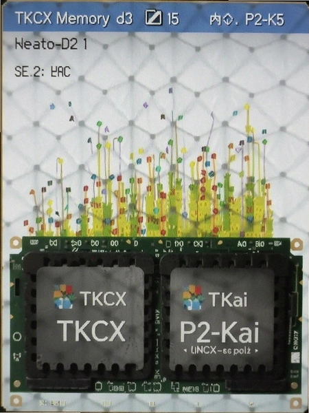 TKCX P2-Kai �ڴ�ռ�ý�ͼ