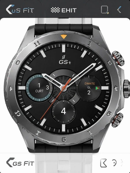 Gs Fit�������ý���չʾ