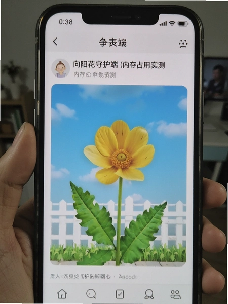 向阳花守护家长端内存占用实测