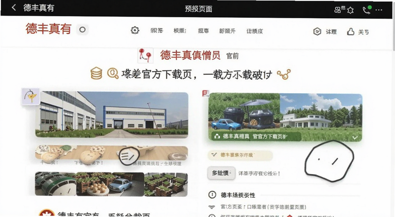 德丰真有官方下载页面预览图
