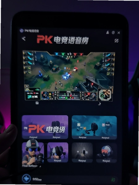 PK�羺����������չʾͼ