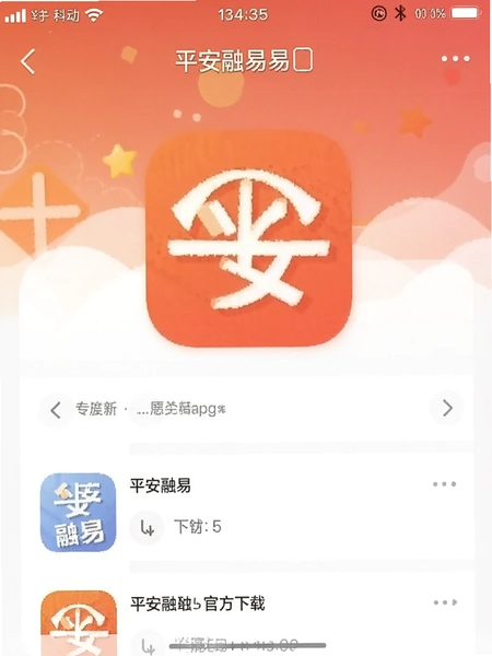 平安融易app官方下载界面截图