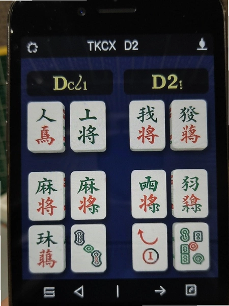 TKCX D2-�齫��ë��Ʒֽ���