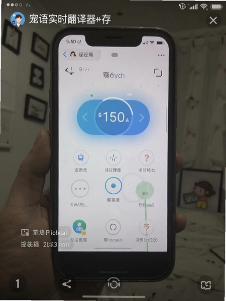 宠语实时翻译器内存占用实测截图