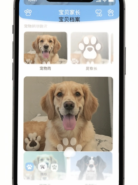 宠物家长App宝贝档案界面预览图