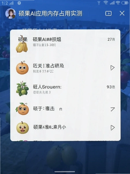 硕果AI应用内存占用实测截图