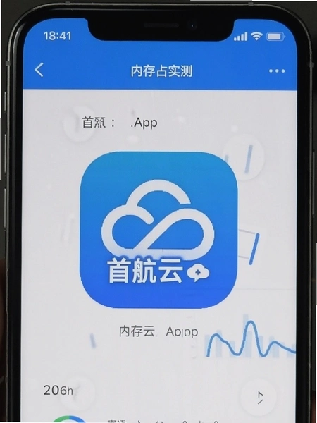 �׺���App�ڴ�ռ��ʵ���ͼ