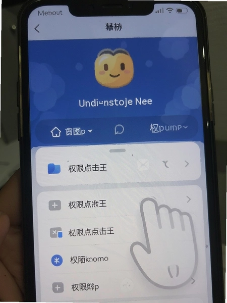 ��Ļ�Զ������ Ȩ���б�