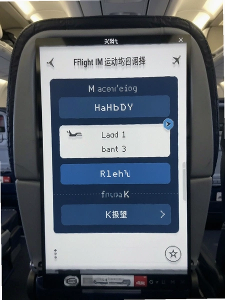 Inflight-IM�˶���Ŀѡ�����Ԥ��ͼ