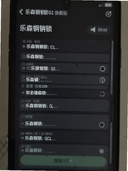 乐森钢锁G1旗舰版编程界面截图