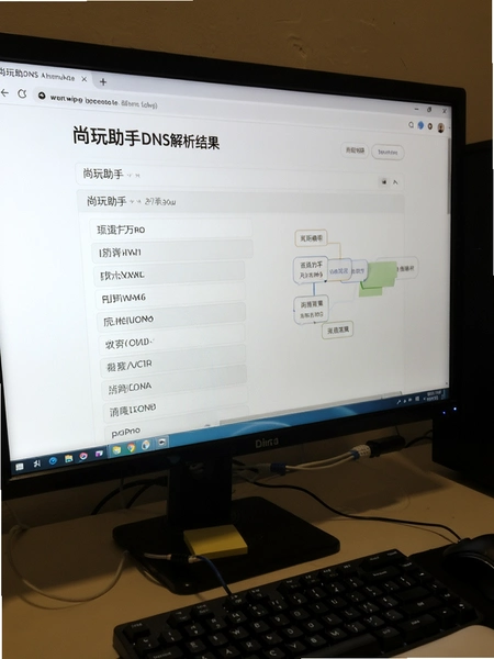 ��������DNS�������ҳ��չʾͼ