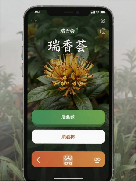������app���������ͼ