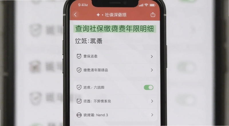 手机查询社保缴费年限明细截图预览图