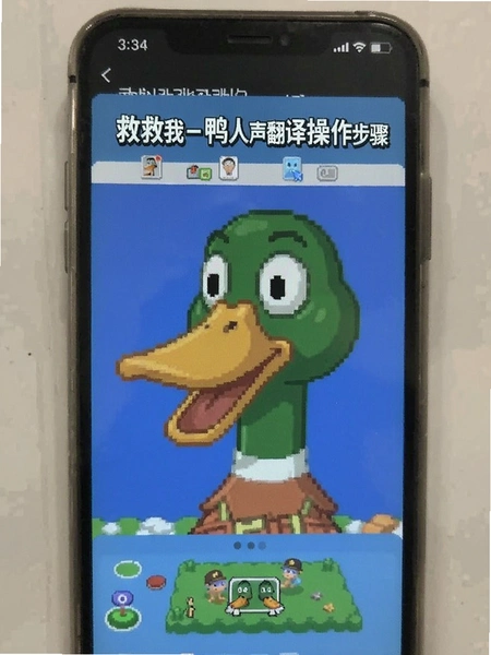 �Ⱦ���-Ѽ������������������