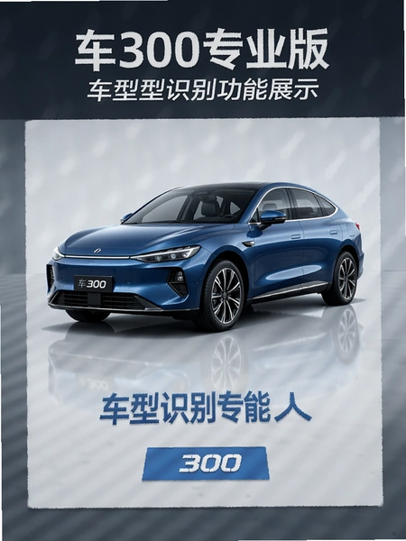 ��300רҵ�泵��ʶ����չʾͼ
