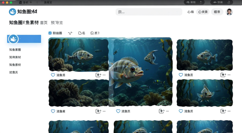 知鱼圈知鱼素材首页分类导航预览图