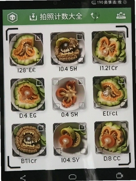 ���ռ�����ȫʶ��Ч��ͼ