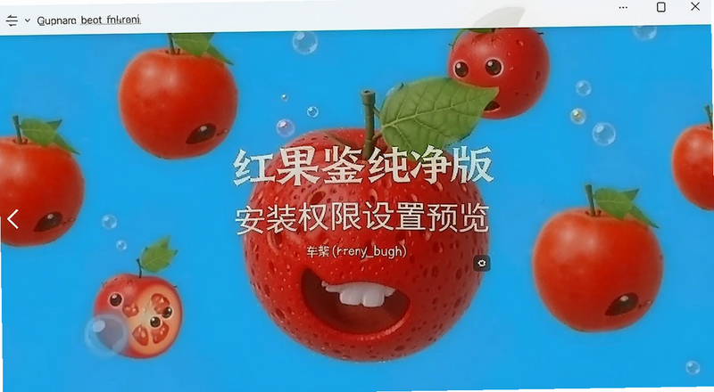 ����������氲װȨ������Ԥ��ͼ