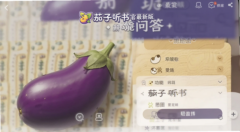 茄子听书官方最新版问答功能界面预览图