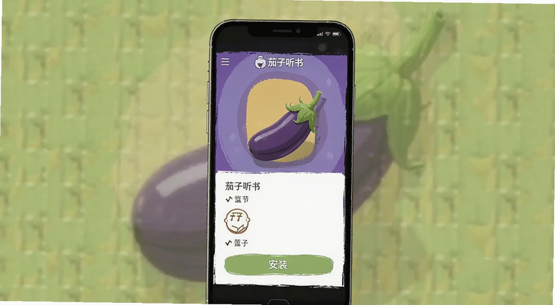茄子听书官方最新版安装界面预览图