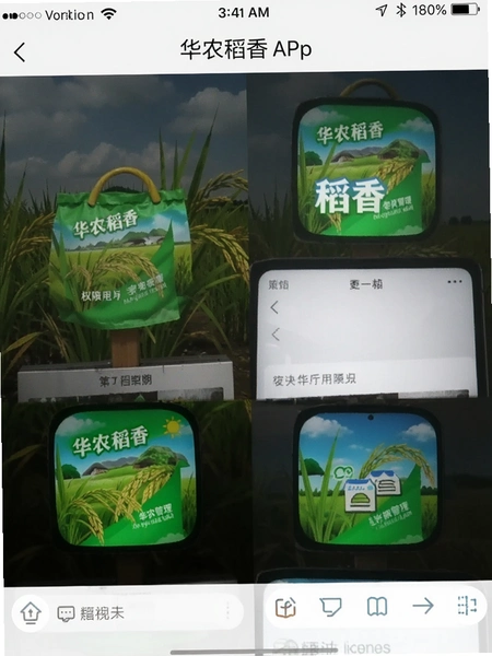 ��ũ����APP��װȨ�޹��������ͼ