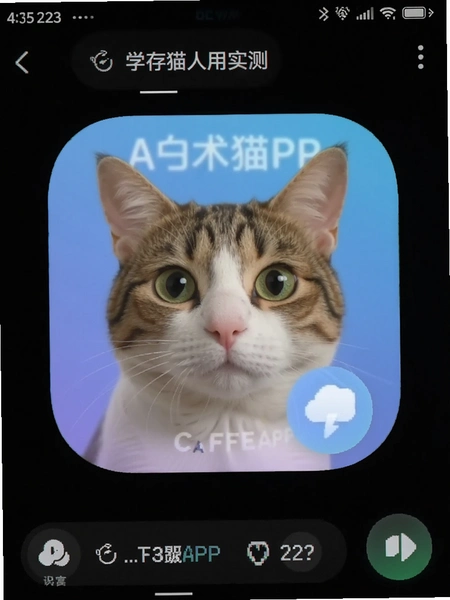 ѧ��èAPP�ڴ�ռ��ʵ���ͼ