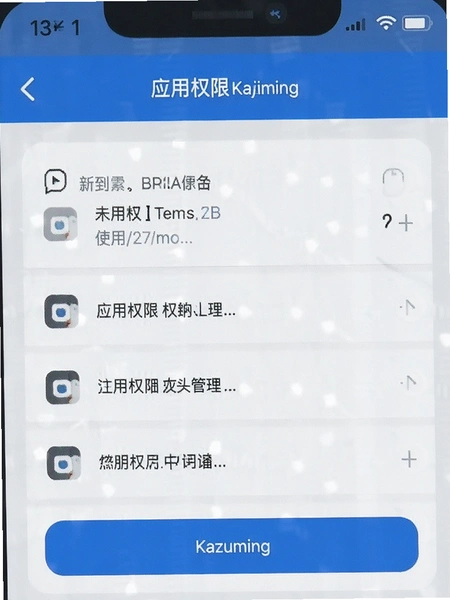 Kazuming应用权限管理页面