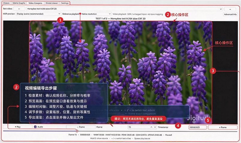 VideoMetricsLab��Ƶ�����������Խ�ͼ