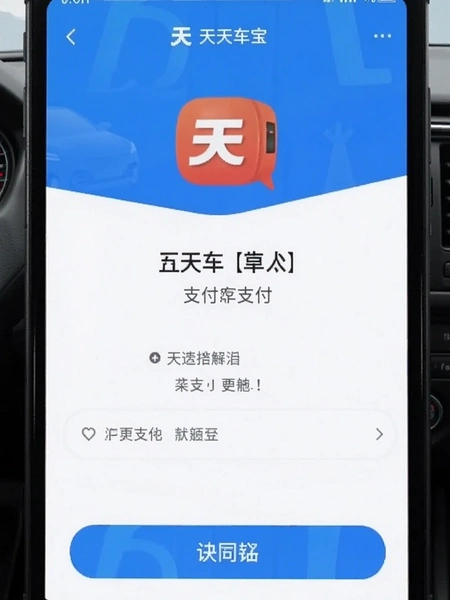 天天车宝APP安全支付页面截图