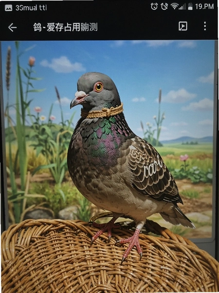 wicker-�����ڴ�ռ��ʵ���ͼ