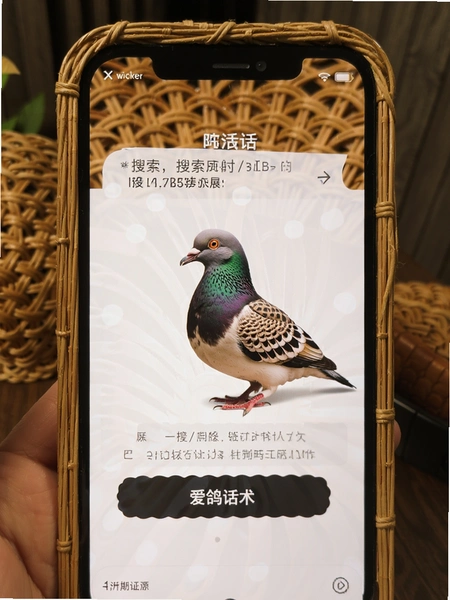 wicker-���뻰����������չʾ