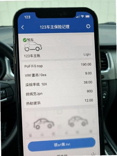 123车主保险查记账界面预览图