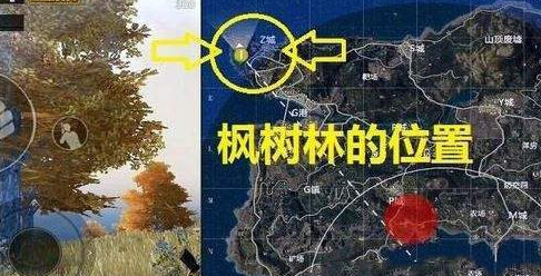 20180920084819848.png